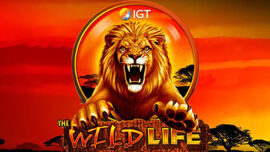 Be Wild Be Wild
